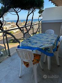 Vacanze al mare ultime disponibilita'