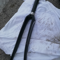 Forcella in carbonio e bici vintage e da corsa