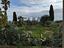 Immagine 9
