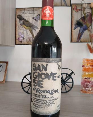 Vino San giovese di Romagna 1976