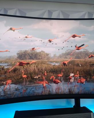Philips Gaming Monitor 32'' QHD 240Hz