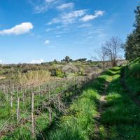 TER. AGRICOLO A GROTTAFERRATA