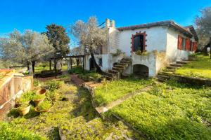 VILLA VISTA MARE a solo 1 km da Alghero
