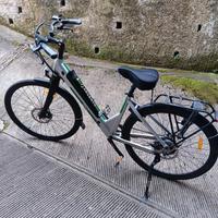 bici elettrica 