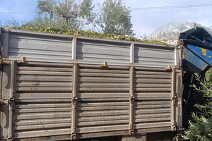 Rimorchio agricolo Gagnarella