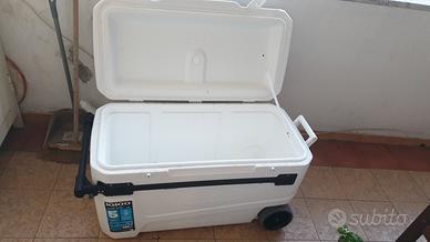 Igloo, frigo, frigorifero, baule, ghiacciera, ghia