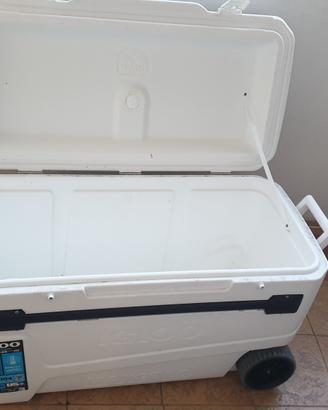 Igloo, frigo, frigorifero, baule, ghiacciera, ghia