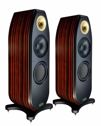 Diffusori casse 2,5 vie Woodsound LBH-G10