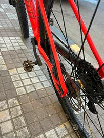 Bici MTB
