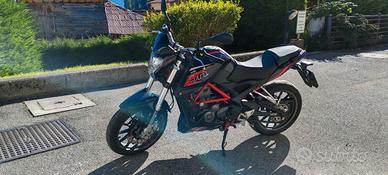 Benelli BN 251 - 2018