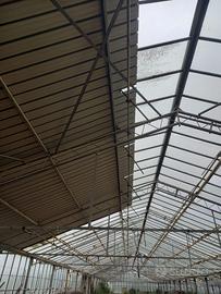 Struttura serra/capannone