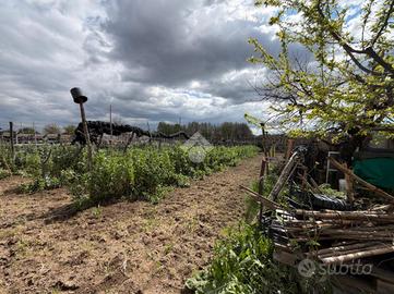 TER. AGRICOLO A CALVIZZANO