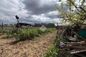 TER. AGRICOLO A CALVIZZANO