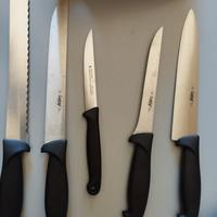 Ceppo coltelli 5 pezzi Alexander