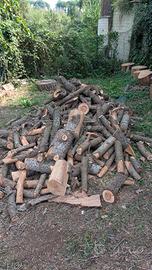 Legna da ardere secca, tronchi e ceppi – Roma Nord