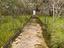 Immagine 3