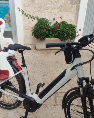 Bici elettrica pedalata assistita 