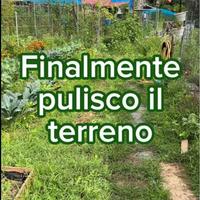 pulizia terreni