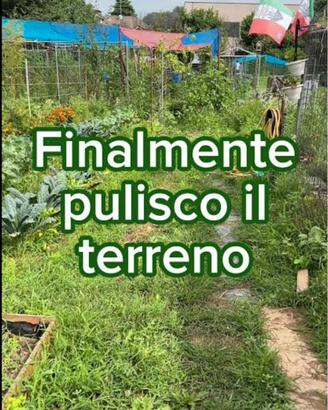 pulizia terreni