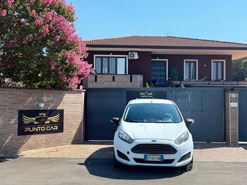 Ford Fiesta 1.5 TDCi 75CV 3 porte Van Entry