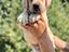 Immagine 20