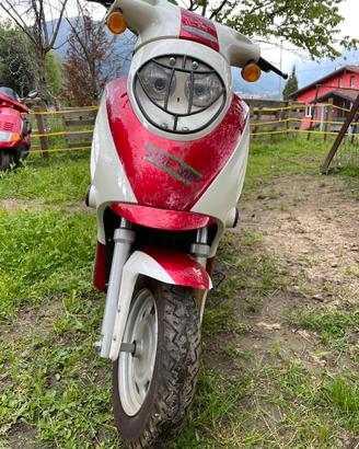 Scooter elettrico 48v