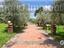 Immagine 18