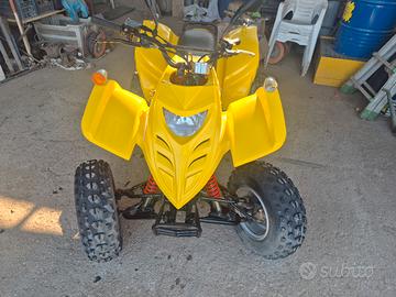 Quad Fort Atv 300 U