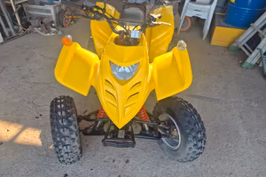 Quad Fort Atv 300 U