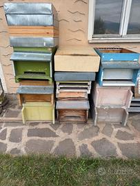 Arnie Dadant 10 da ristrutturare.