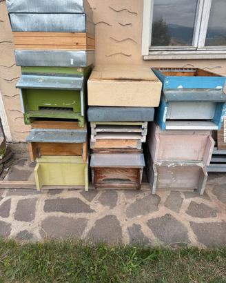 Arnie Dadant 10 da ristrutturare.