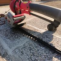 Taglia siepe + soffiatore elettrici