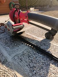Taglia siepe + soffiatore elettrici