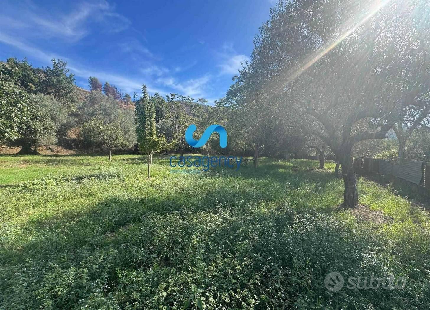 Terreno agricolo 3.100 mq - Mezzano (CE) - Vista 2