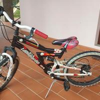 Bicicletta Lombardo Sierra 20' con cambio