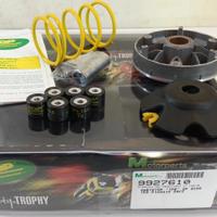 Kit variatore Top Perfomance per Piaggio 50 992761