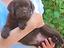 Immagine 22