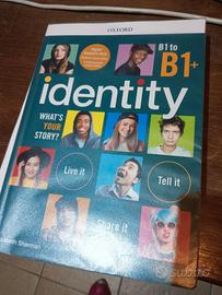 IDENTITY B1 to B1+