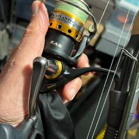 Mulinello Penn atlantics