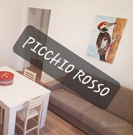 LIDO DI DANTE , casa vacanze