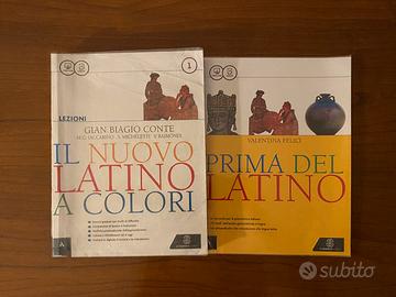 Il nuovo latino a colori 1