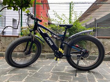 E-BIKE ALFINA MX-03, 1000W 48V
