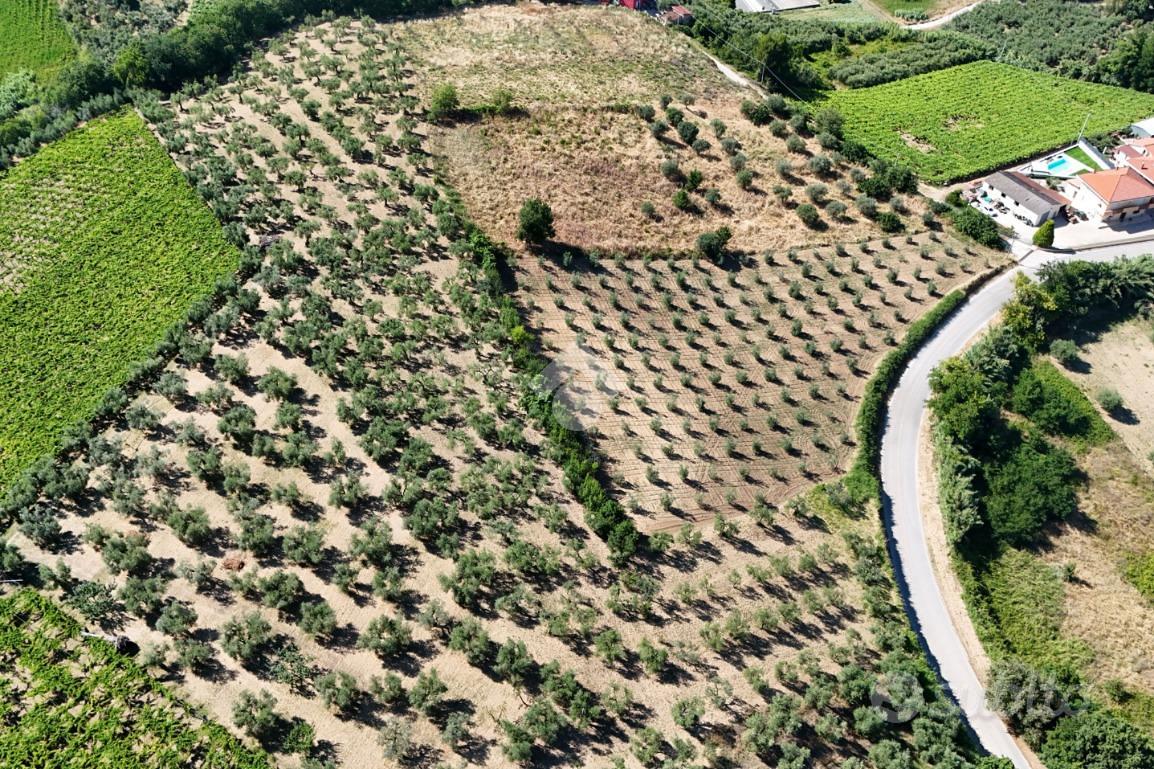 TER. AGRICOLO A FRANCAVILLA AL MARE - Vista 4