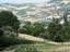 Immagine 14