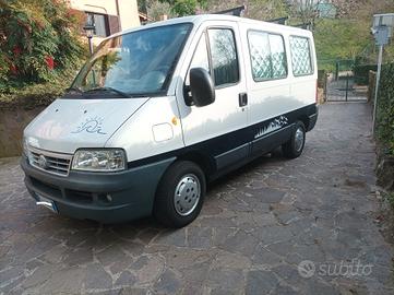 fiat ducato panorama van camperizzato 