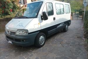 fiat ducato panorama van camperizzato 