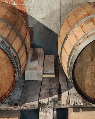 Botte Barrique in rovere da 225 litri