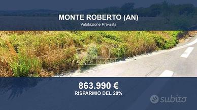 Immobile in asta di 63176 m² a Monte Roberto