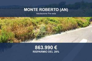 Immobile in asta di 63176 m² a Monte Roberto