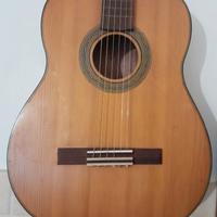 Chitarra acustica